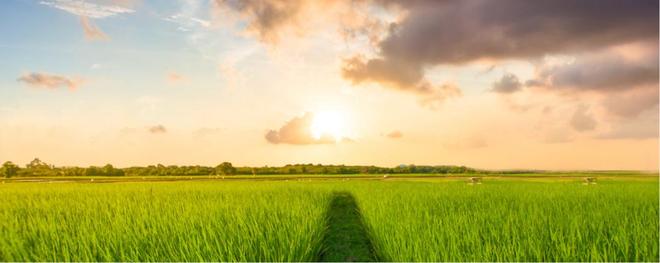 无人农机群已经是常态原来山东才是智慧农业大省？(图1)