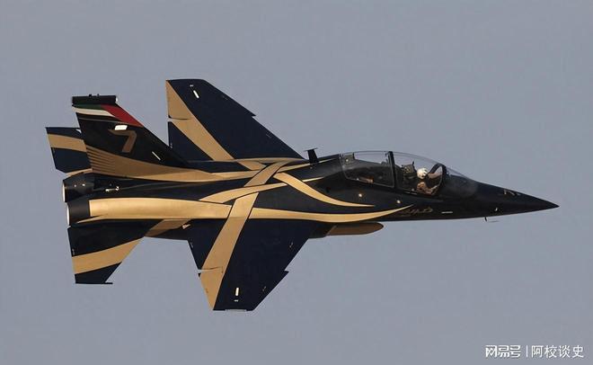 印度战机坠毁后阿联酋取消他国表演自己开着中国战机秀了一波(图18)