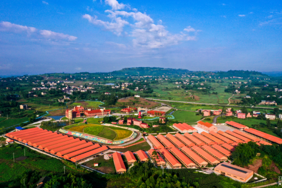 山海情深！浔广携手谱写“东西部协作”新篇章(图1)