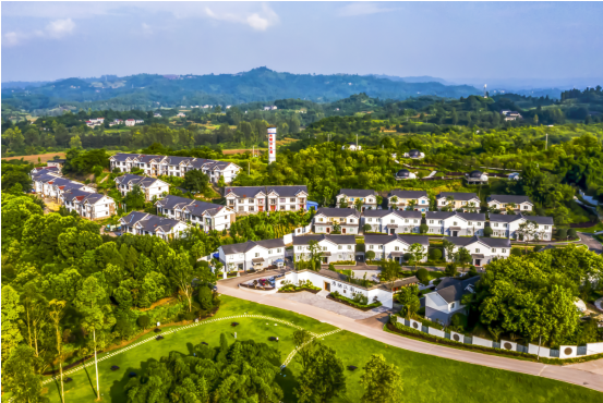 山海情深！浔广携手谱写“东西部协作”新篇章(图3)