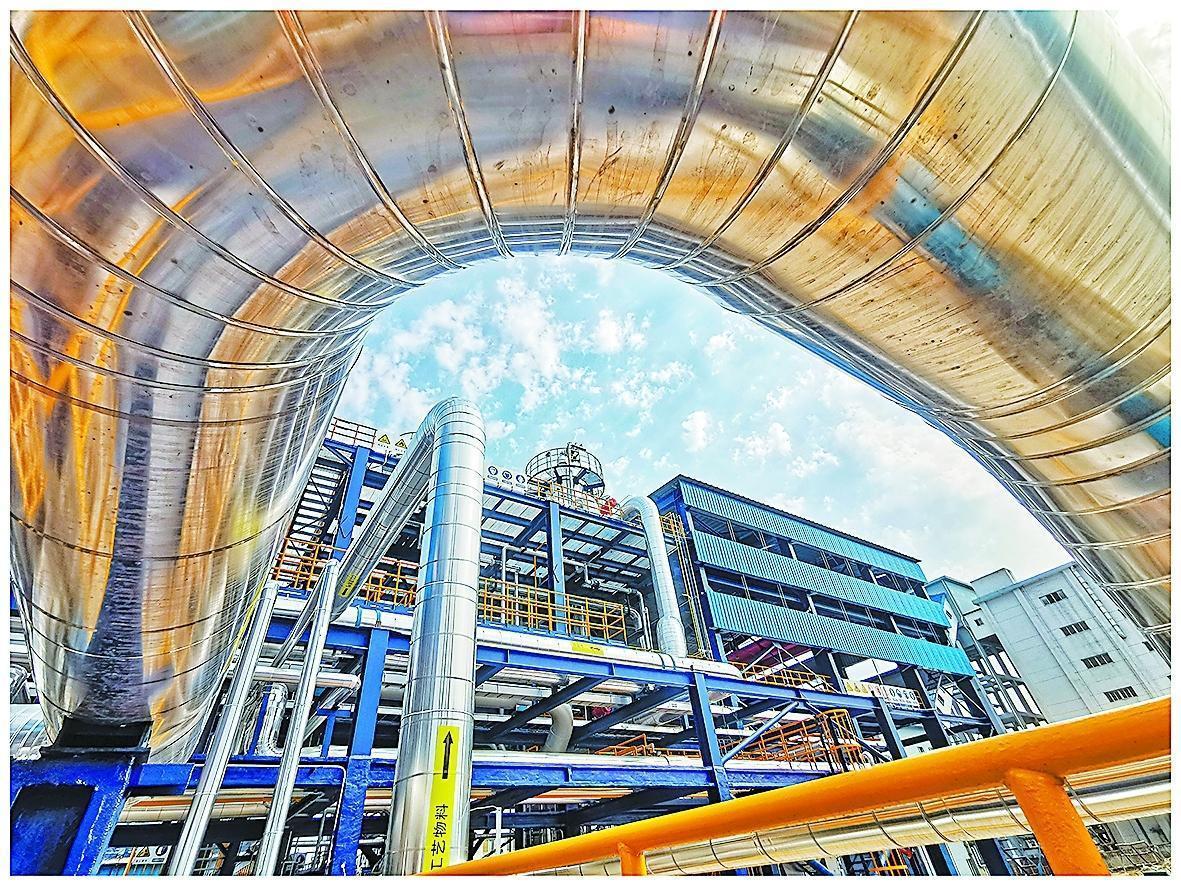 守护锦绣河山坚定逐绿前行(图6)